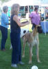 Carrie Muir and Jefferson get ready to move for the judge.