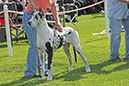 DSC_5009a